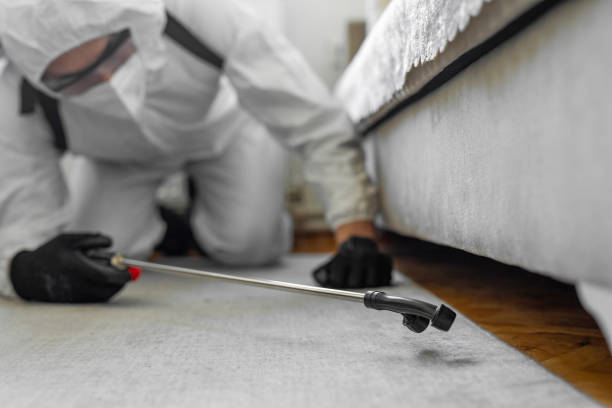 Professional Bed Bug Control technician working in Church Hill, MD
