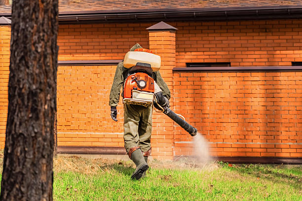 Trusted Rodent Control service in Church Hill, MD - Nex Pest Control